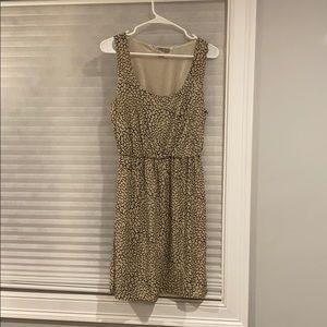 Ivory and black dress, lined.  Gently worn.